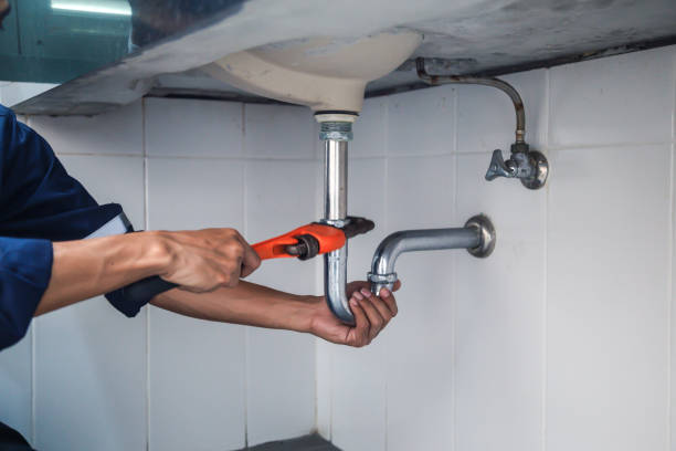 Best Clogged Drain Plumber  in Lynnville, IN