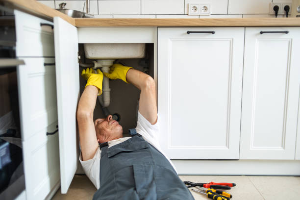 Best Commercial Plumbing Services  in Lynnville, IN