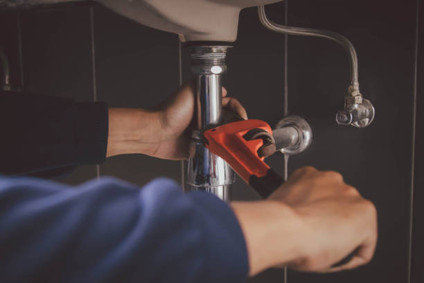 Best Local Plumber Services  in Lynnville, IN